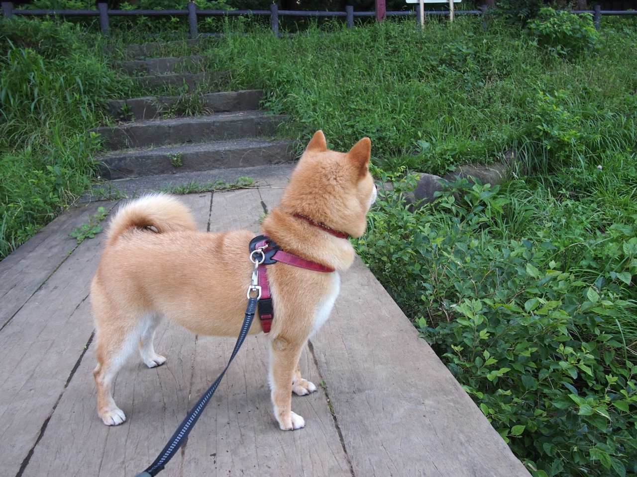 开云体育平台-令人心碎的“败者之夜”：那些遗憾的比赛瞬间，败者组决赛是什么意思